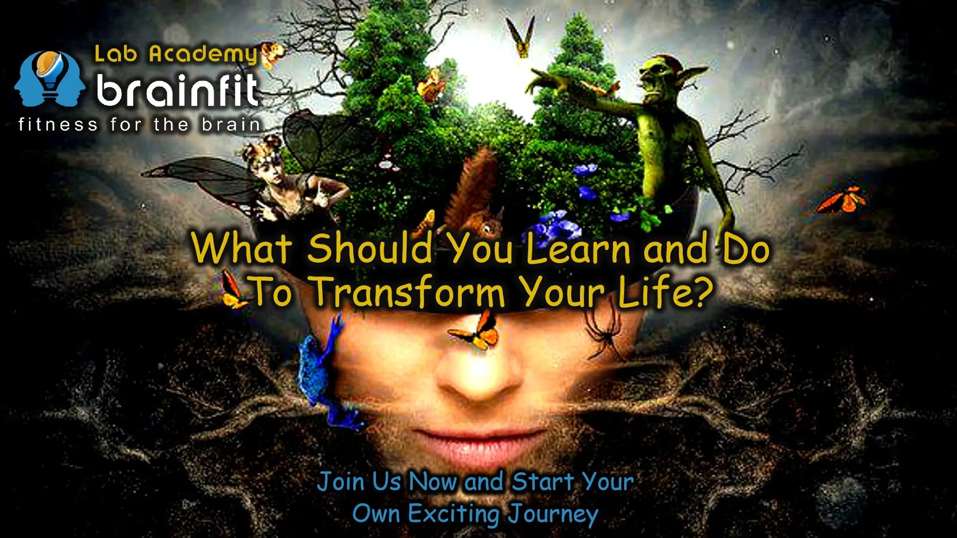 9 Things You Should Learn and Do to Transform Your Life