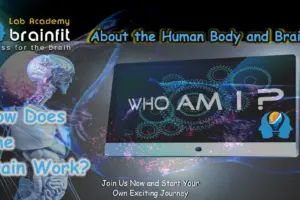 About the Human Body and Brain