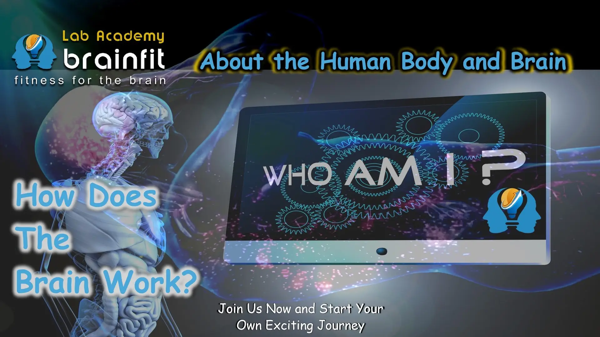 About the Human Body and Brain